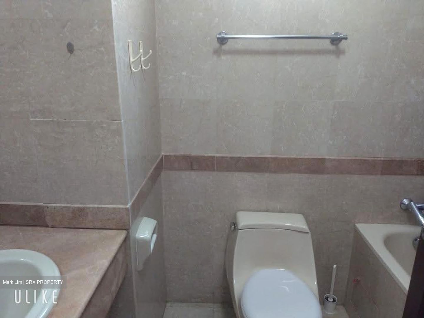 Tanglin Regency (D10), Condominium #615035431